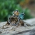 Z modrym okiem - minimalistyczny, srebrny pierścionek z surowym apatytem / Alabama Studio / Biżuteria / Pierścionki