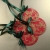 karnety - bombki barokowe I / Tykające Zegary / Scrapbooking / Inne
