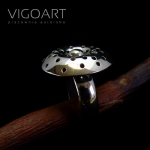 Amanita muscaria
