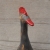 czerwony irokez