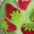 ...STRAWBERRY FIELDS... / LINEA / Dekoracja Wnętrz / Szkło