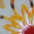 ...O SOLE MIO... / LINEA / Dekoracja Wnętrz / Szkło