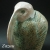 Kiwi / zazuu / Dekoracja Wnętrz / Ceramika