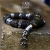 Baltic Amber -  bransoleta / Anioł / Biżuteria / Dla mężczyzn