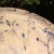 Ceramiczna umywalka - z natury  / w.inspiracji / Dekoracja Wnętrz / Ceramika