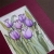 tulipany / GRAFIJA / Dekoracja Wnętrz / Rysunki i Grafiki