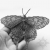 Nocny motyl II, broszka, beading / Sol / Biżuteria / Broszki