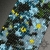 Forget Me Not, szeroka wyplatana bransoleta, beading / Sol / Biżuteria / Bransolety