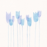 Akwarela  niebieskie tulipany