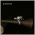   ZAKRĘCONY  -  srebrny pierścionek z perłami / wstobiecki / Biżuteria / Pierścionki