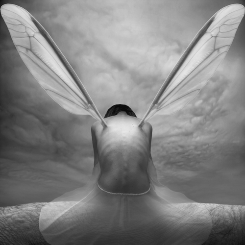 Ze skrzydełkami / Fotoklimat / Fotografia / Art Photography