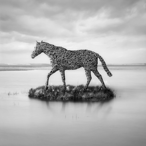 Horse Island / Fotoklimat / Fotografia / Konceptualna
