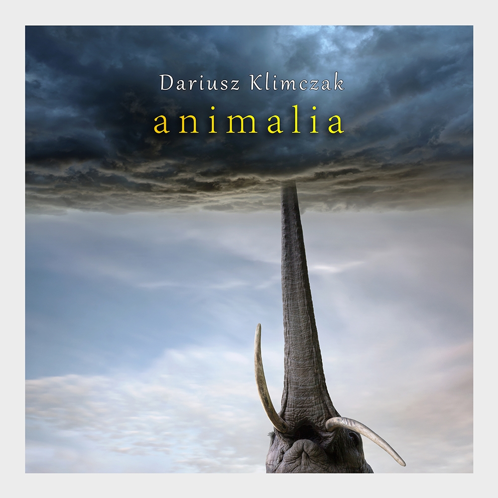 Album "Animalia" / Fotoklimat / Fotografia / Konceptualna