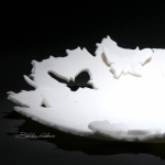 Porcelanowe motyle