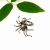 Pierścionek srebrny z małym pająkiem / VENUS GALERIA / Biżuteria / Pierścionki
