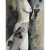 Perseida - akwarela 32 x24 cm / Daria Górkiewicz / Dekoracja Wnętrz / Rysunki i Grafiki