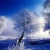A Gentle Kiss of Winter / Iza Malczyk / Biżuteria / Naszyjniki