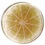 Podkładka pod cytrynkę Citrus