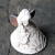 Aniołki dźwięczące / Malgoska Wosik CERAMICZKA / Dekoracja Wnętrz / Anioły