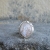 Rivendell, Biżuteria, Pierścionki, Ithildin - srebrny pierścionek z rodzimym kamieniem księżycowym