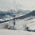 Beskid Wyspowy / Marta Sobczak-Piętoń / Dekoracja Wnętrz / Obrazy