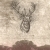 grafika - intaglio - SOFA / Artur Goliński / Dekoracja Wnętrz / Rysunki i Grafiki