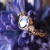 LAVENDER DREAM złoty pierścionek z tanzanitem / lookrecya / Biżuteria / Pierścionki