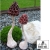 Ceramiczne grzyby II / moai-nui / Dekoracja Wnętrz / Ceramika