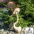 Ceramiczne grzyby V / moai-nui / Dekoracja Wnętrz / Ceramika