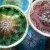 anyadesign, Dekoracja Wnętrz, Szkło, Kolekcja Crochet- komplet 6 talerzyków