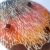 Secesyjna - patera na tort / anyadesign / Dekoracja Wnętrz / Szkło
